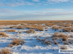 Осенние и зимние предзнаменования в Калмыкии: что расскажет природа?