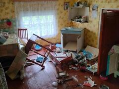 Медвежьи походы в поморских деревнях: громкие крики тревоги и разрушенные дома